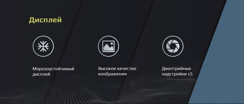NVD_дисплей.jpg